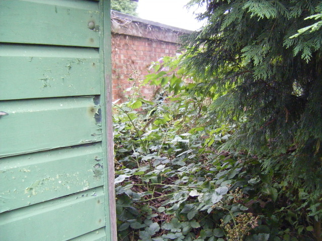 dscf2119.jpg